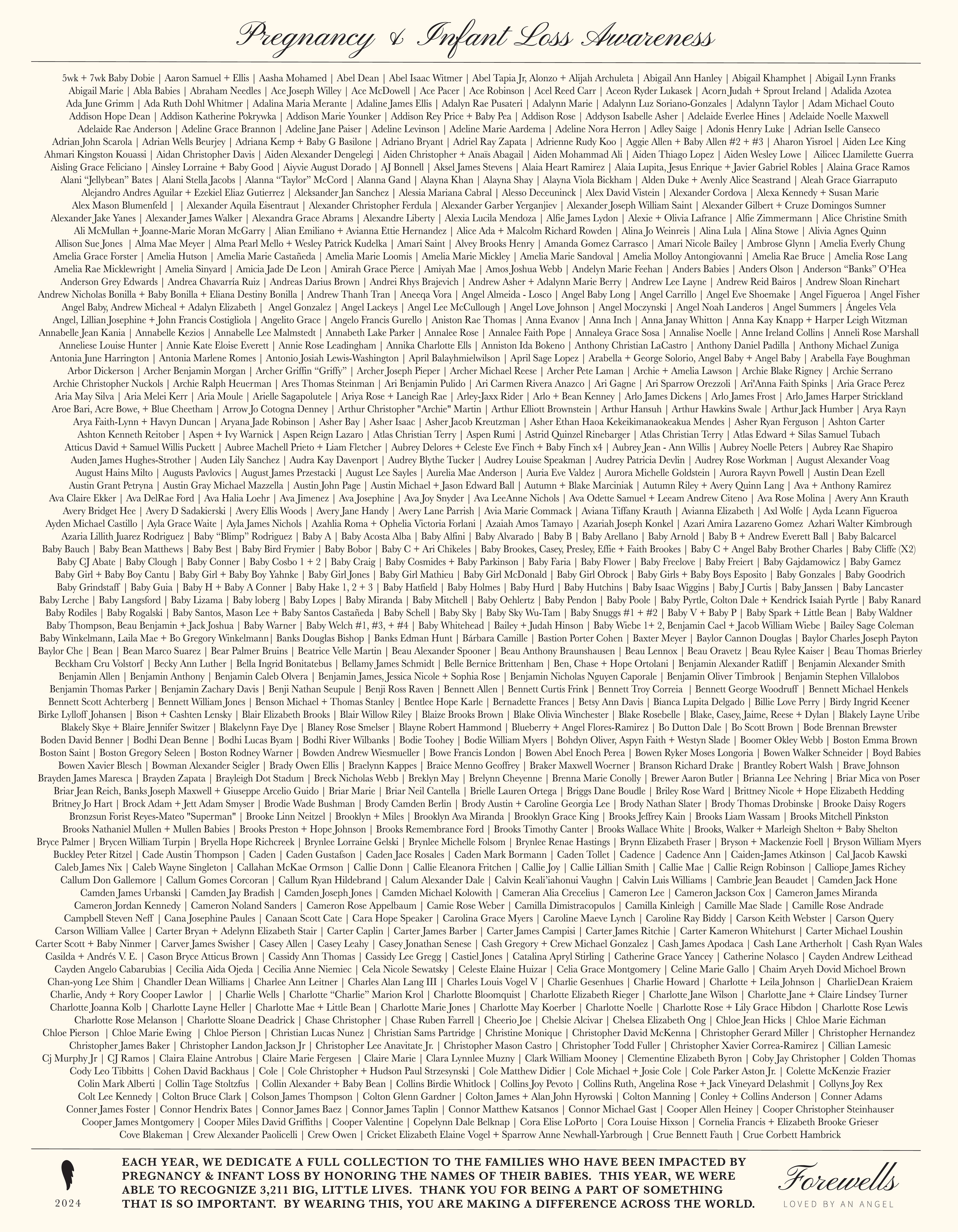 Signature Hoodie | Sweet Baby 2024