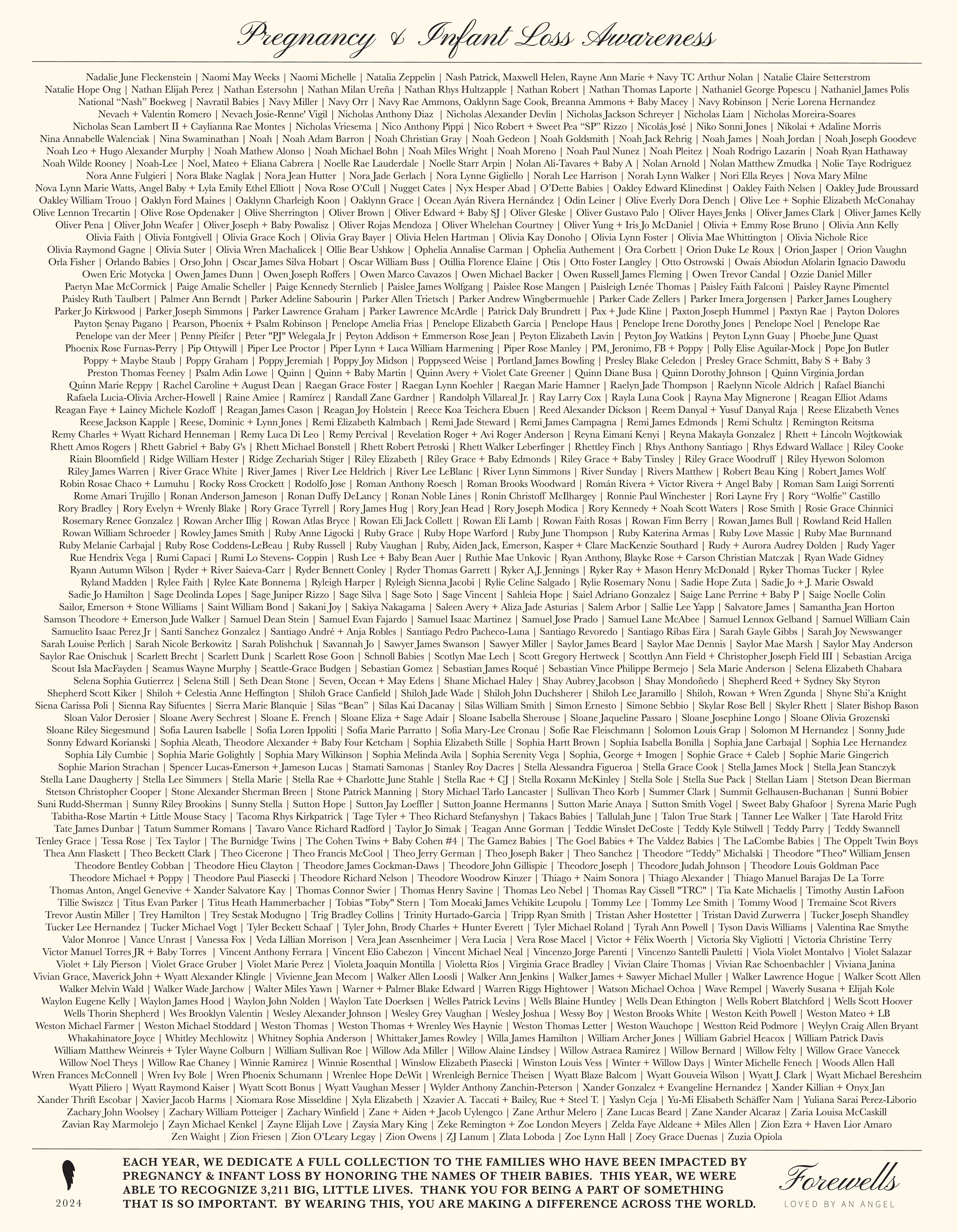 Signature Hoodie | Sweet Baby 2024