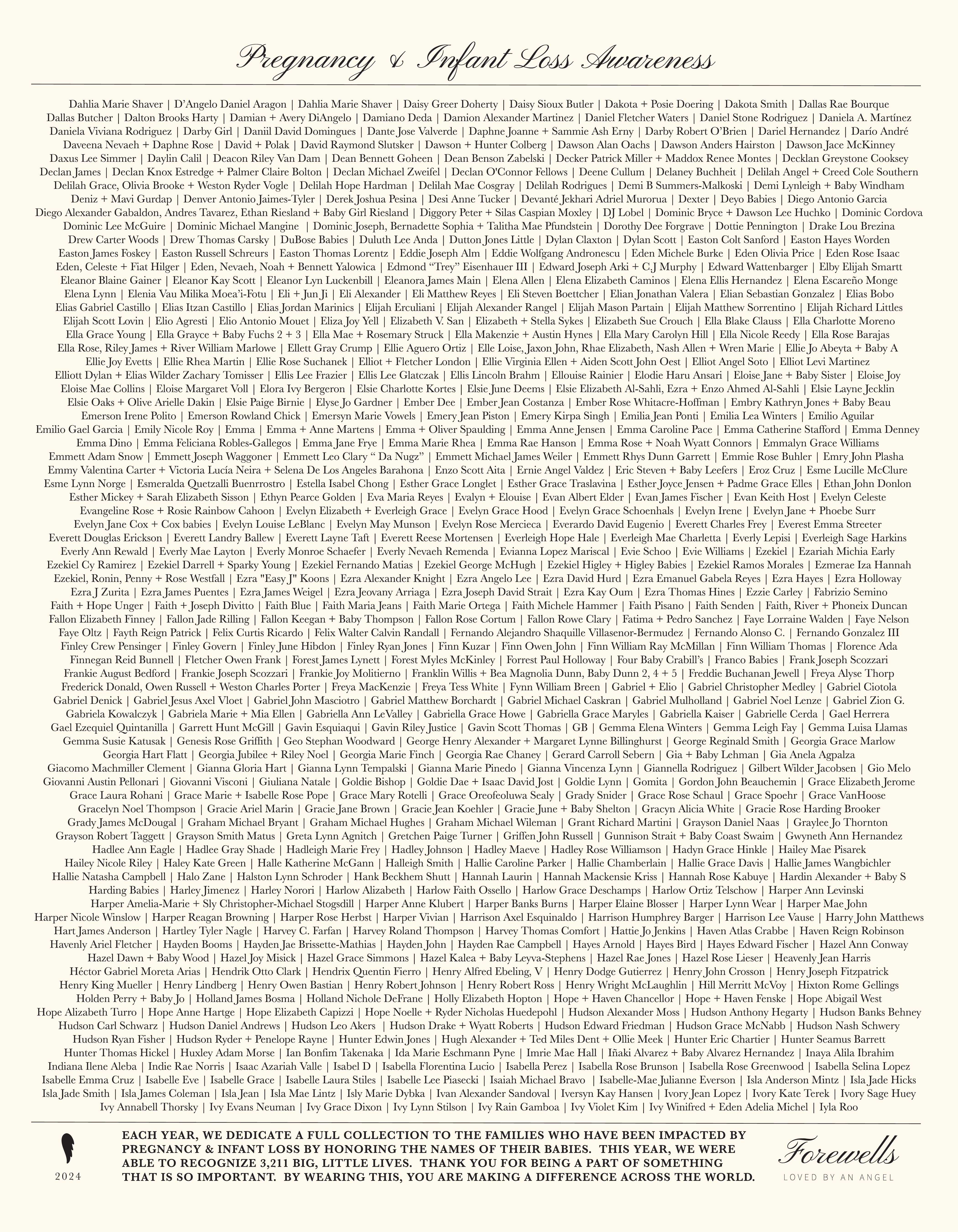 Signature Hoodie | Sweet Baby 2024