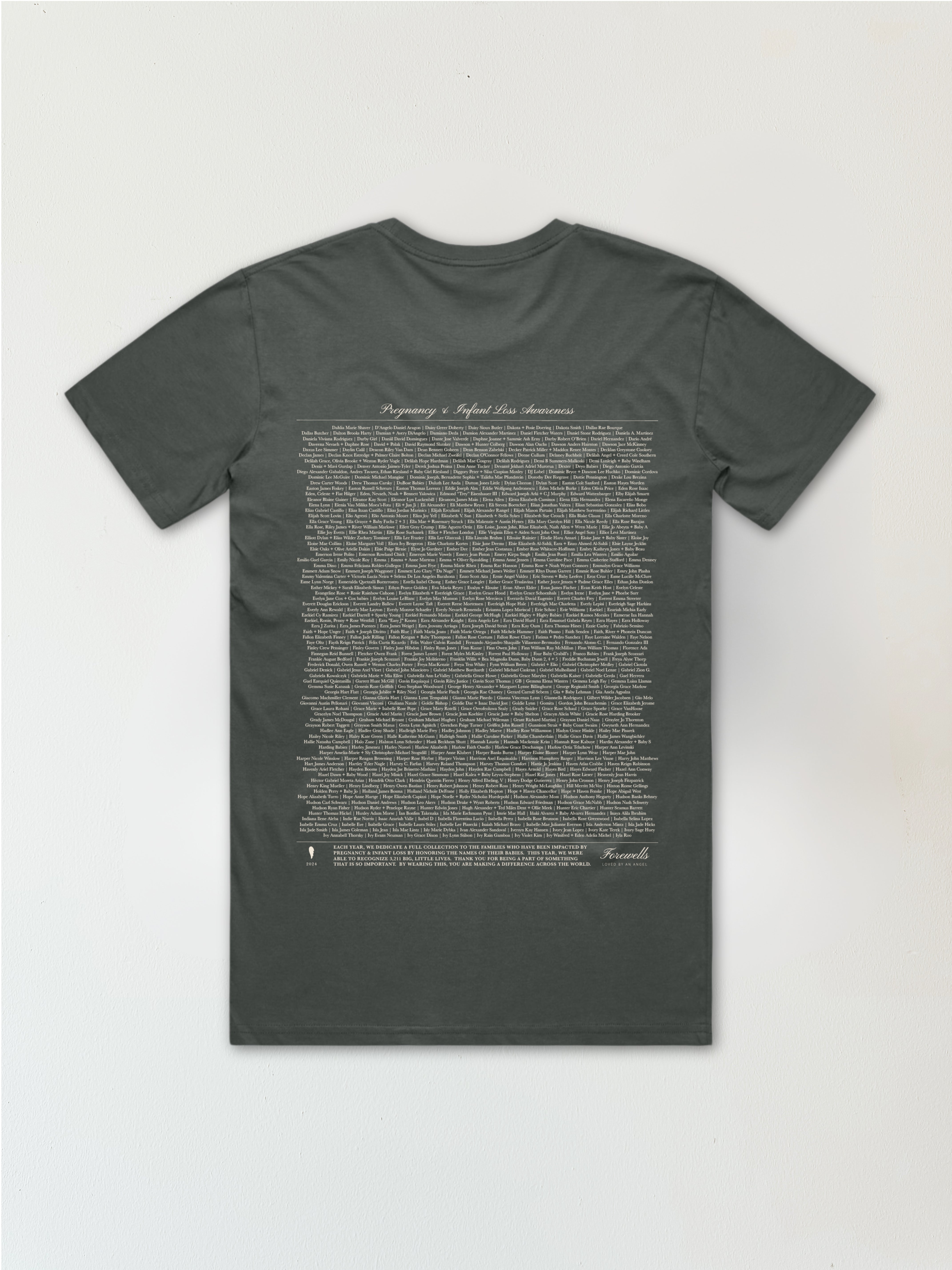 Everyday Tee | Sweet Baby 2024